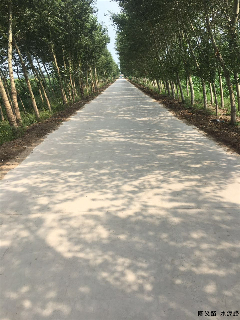 陶義路  水泥路